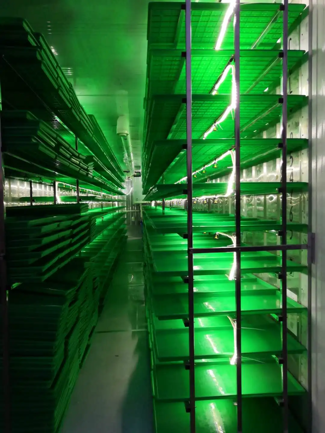 Solar&Wind Powered Farm Hydroponic Green Grass Fodder Machine built in 40HQ Freezer shipping container