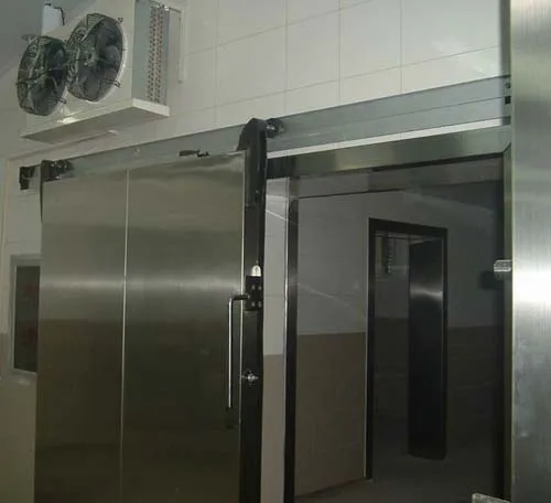 
Customized Walk In Frozen Fish Blast Freezer Room / Mini Cold Storage For Meat/Chicken 
