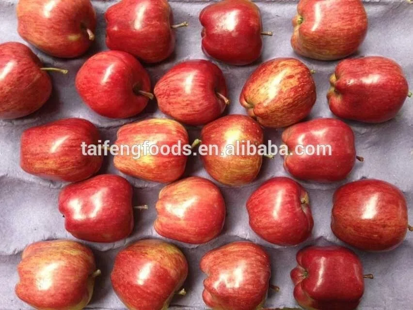 20kg carton Gala Apple