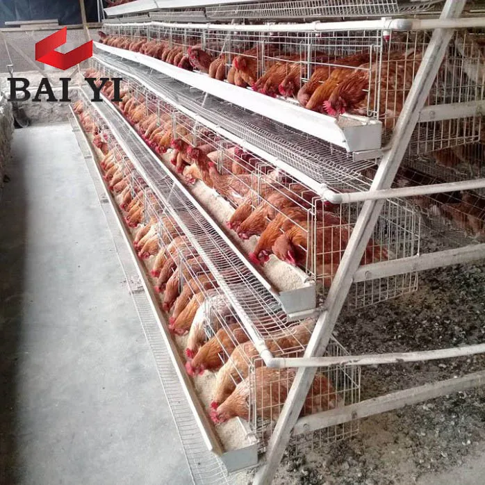 Best Selling Layer Chicken Battery Cage Poultry Equipment In Zimbabwe,South Africa,Pakistan
