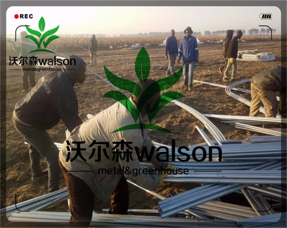 Quality Polyunnel Commercial Modern Display Single-span Glass Greenhouse For Sale