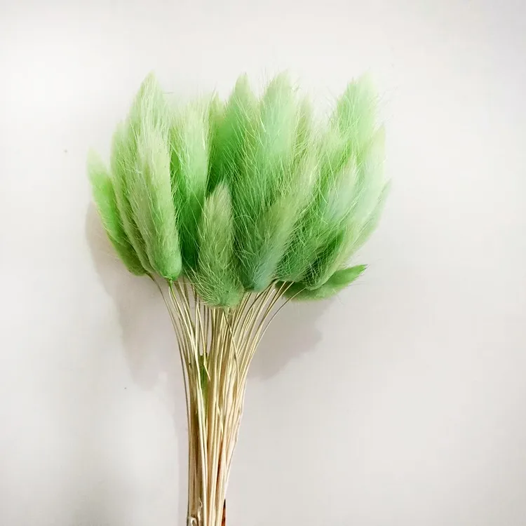 Preserved Eternal Forever Flowers Dried Rabbit Tail Grass Dry Lavender Flower Grass For Decoration