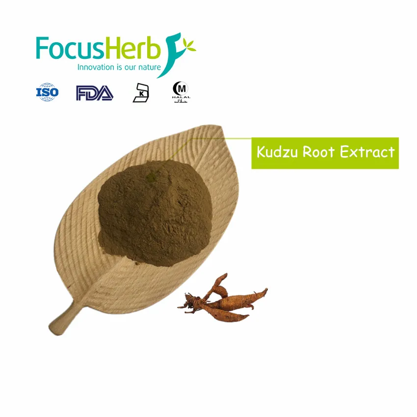 
FocusHerb Radix Puerariae Lobatae Extract 