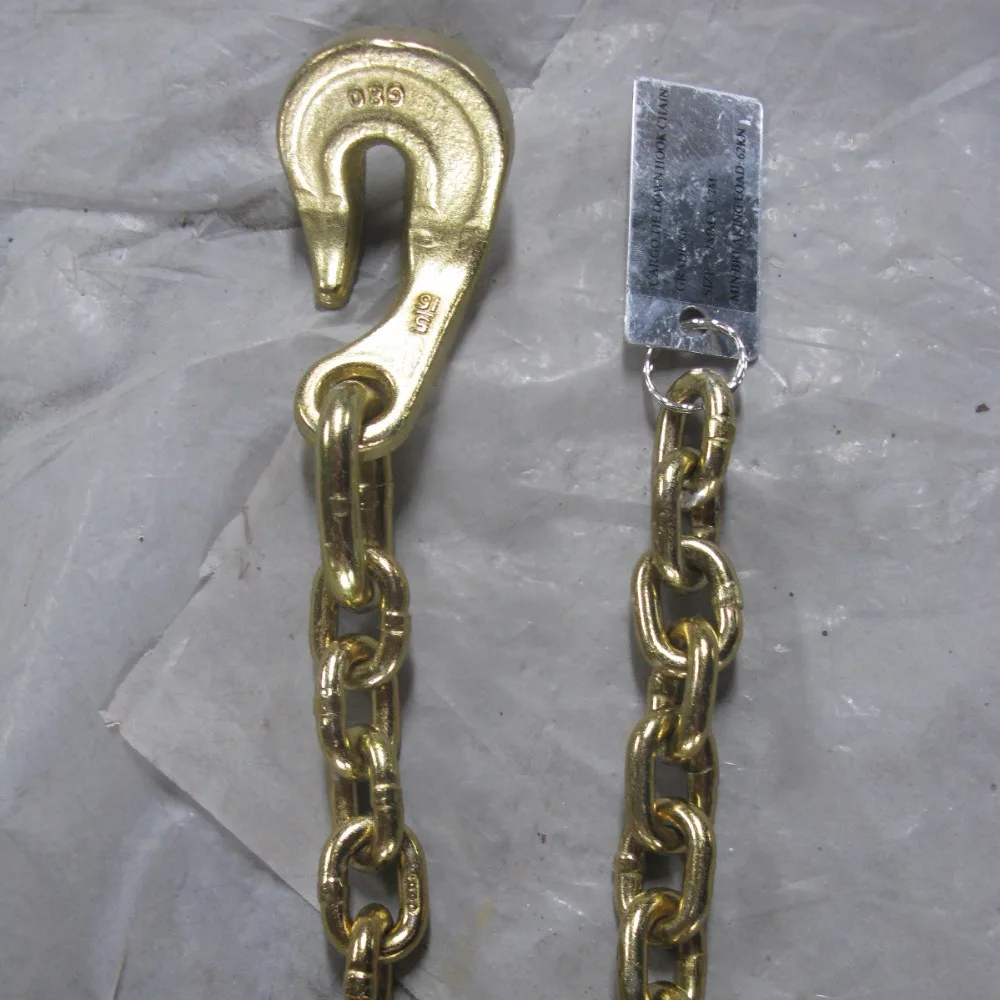 According To Customer Needs Top Quality Safty Cargo Tie Down Hook Galvanized Chain G80