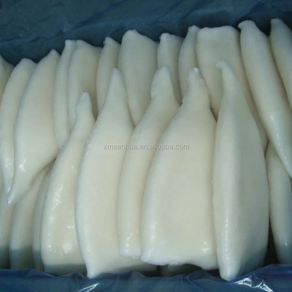 Giant squid frozen squid price squid for sale