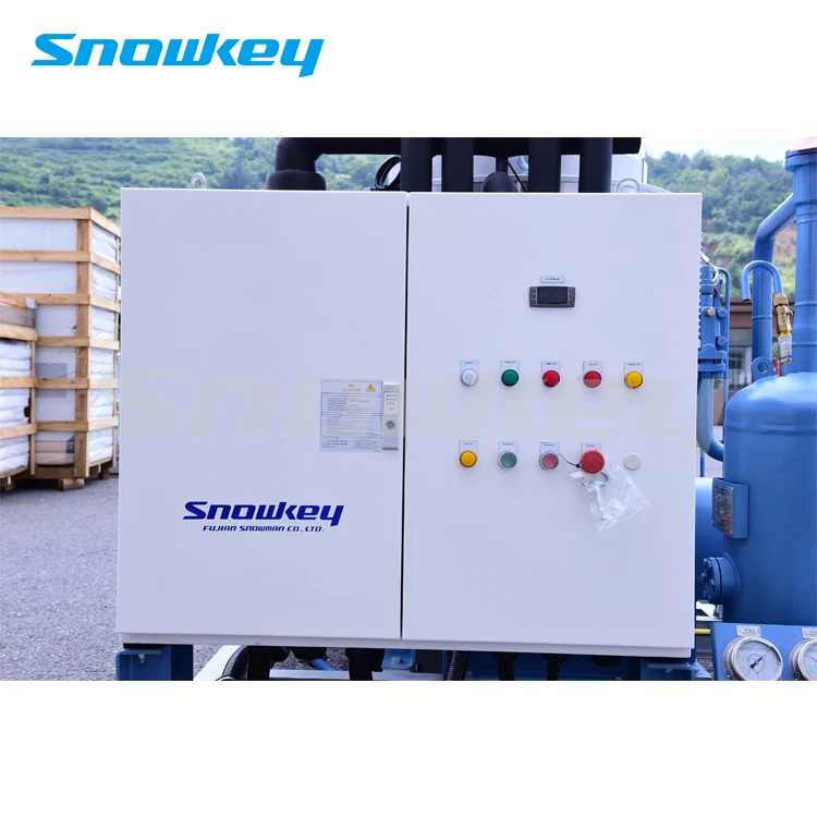 
Snowkey Salt Sea Water 25 ton Flake Ice Machine For Ice Plant 