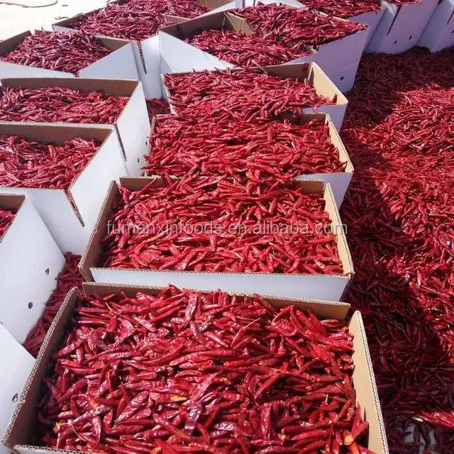 red yidu chili tianying chilli jinta chili American red chilli