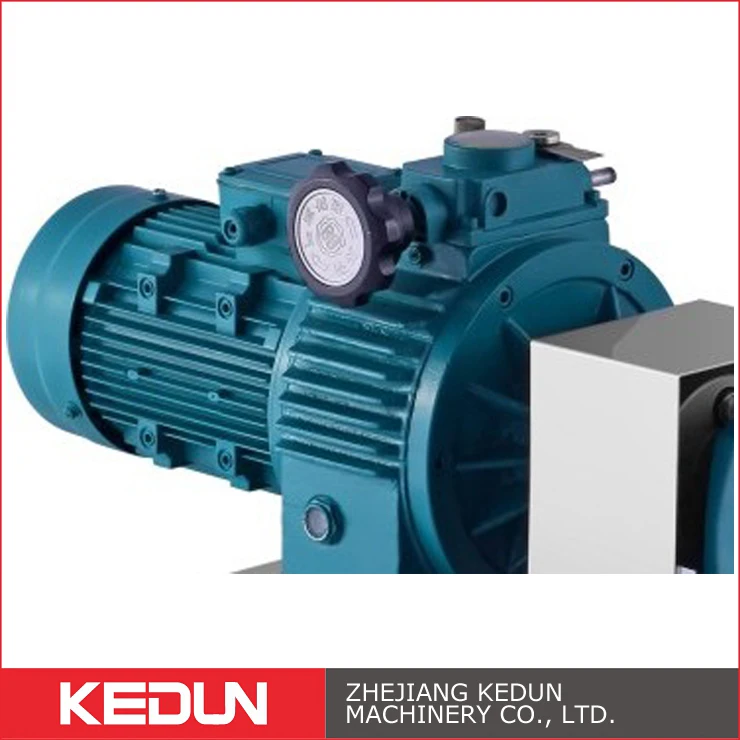 High-Density Stainless Steel 304/316L Rotor Yogurt Pump Electric Gear Pump for Yogurt Processing Special Metal for Machining