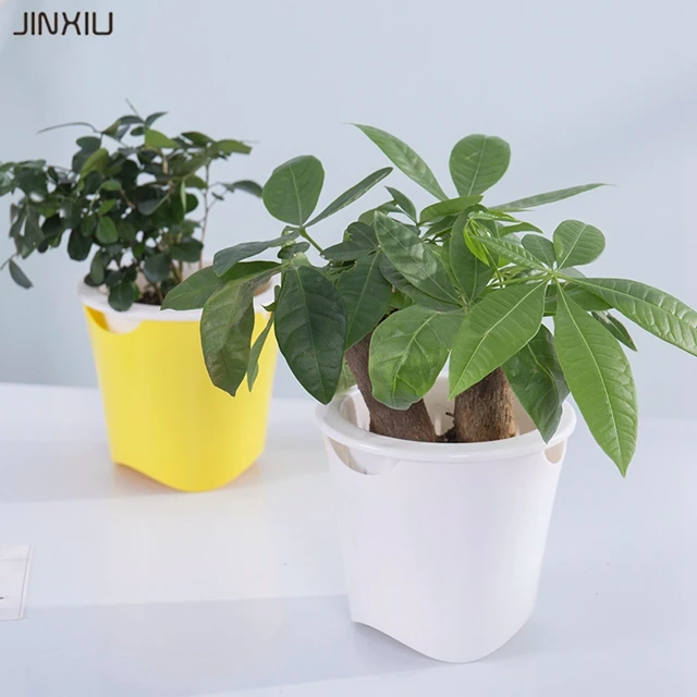 Colorful Cheap Unique Small Plastic Lazy Flower Pot For Office for Wholesale