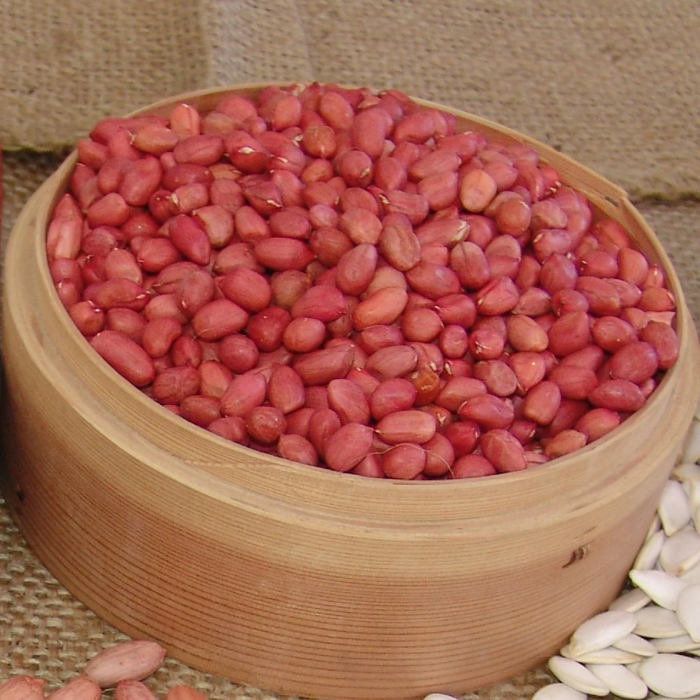 Wholesale raw organic blanched peanut for edible