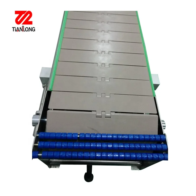 Tianlong Plastic Chain Conveyor for Beverage Industry