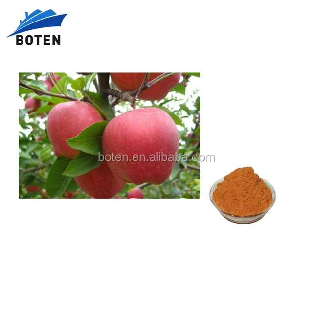 Порошок яблочного сока, порошок турецкого яблочного чая, порошок пектина яблока