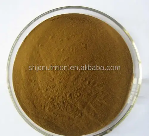 Free sample of echinacea purpurea root extract, echinacea herb extract, 1%-4% polyphenol ,2% cichoric acid