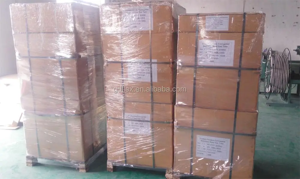 1/2" stainless steel  flexible gas hose