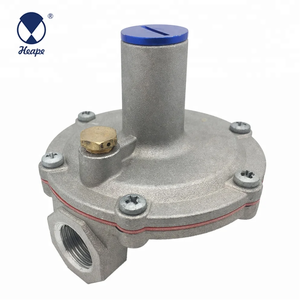 
HEAPE Professional Industrial Gas Regulator 