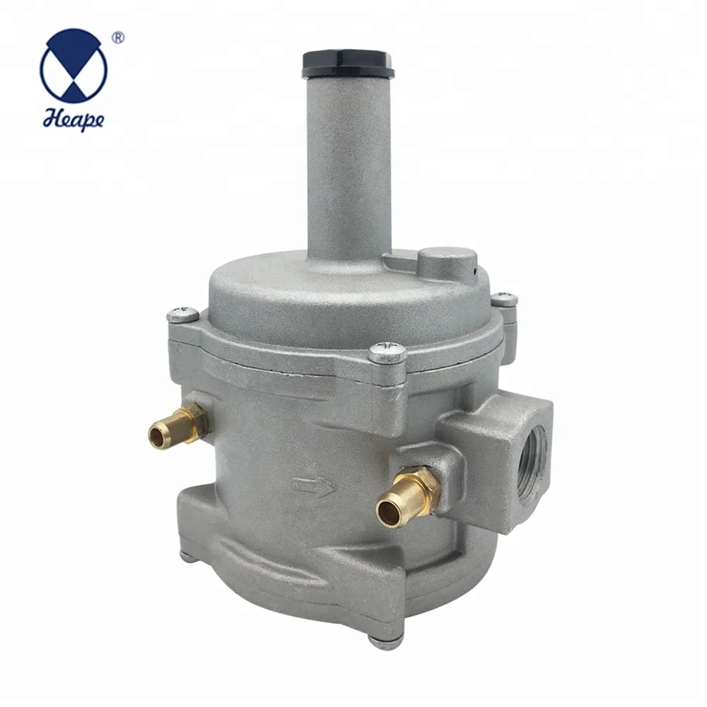 
HEAPE DN15 Natural Gas Regulator Valve 