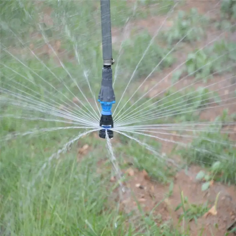 HTB1qIjyJpXXXXXrXpXXq6xXFXXXd