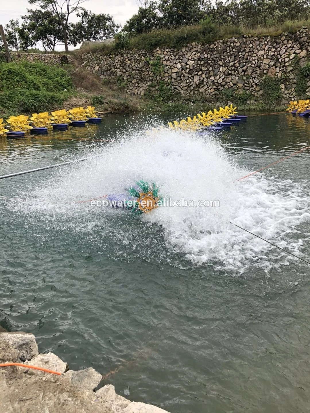 ECO Paddle wheel aerator-- propeller aerator was developed for intensive production of fish in tanks, raceways and ponds