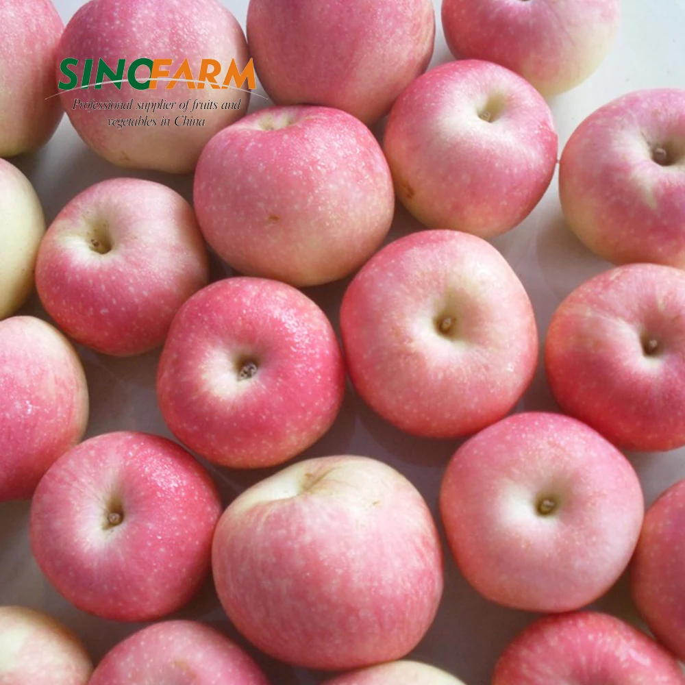 China Fresh Pink Gala Apples With Lower Price