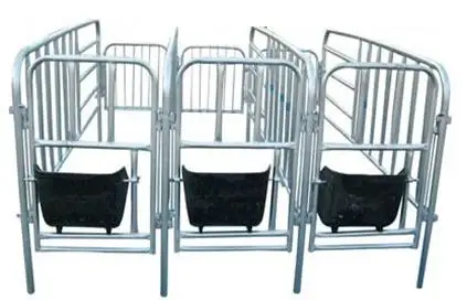 Pig farm equipment pig gestation crates for sows