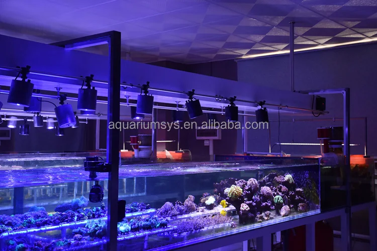 high penetration COB LED light for coral propagation, A.S. Satellite Series LED Aquarium Lighting Marine Coral LED Light