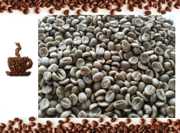 
The Best Green Coffee Beans -- Arabica -- 