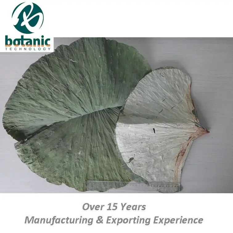 
dried lotus leaf tea bag cut 