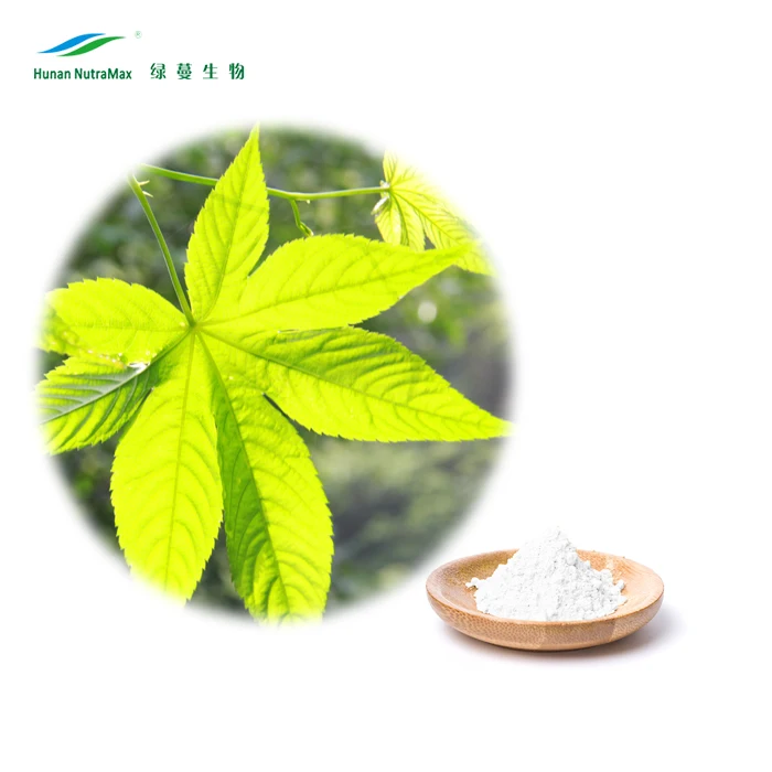 Factory Direct Supply Sweet Tea Extract 70% Rubusoside, 20% Polyphenols UV