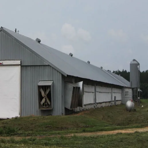 High quality prefabricated  steel structure pig housing farm shed house