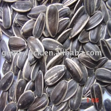 Sunflower seeds