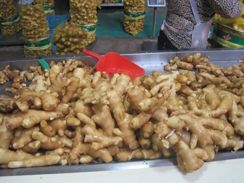 Supply fresh vegetable importers of ginger price of fresh ginger in egypt
