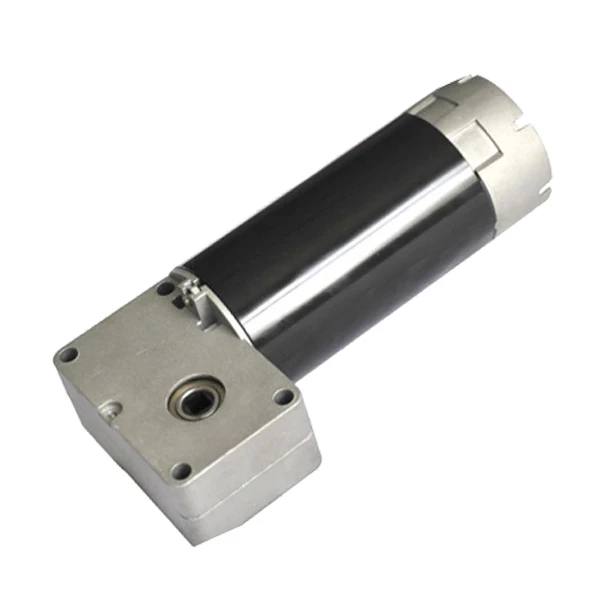 Worm Gear Motor With Encoder