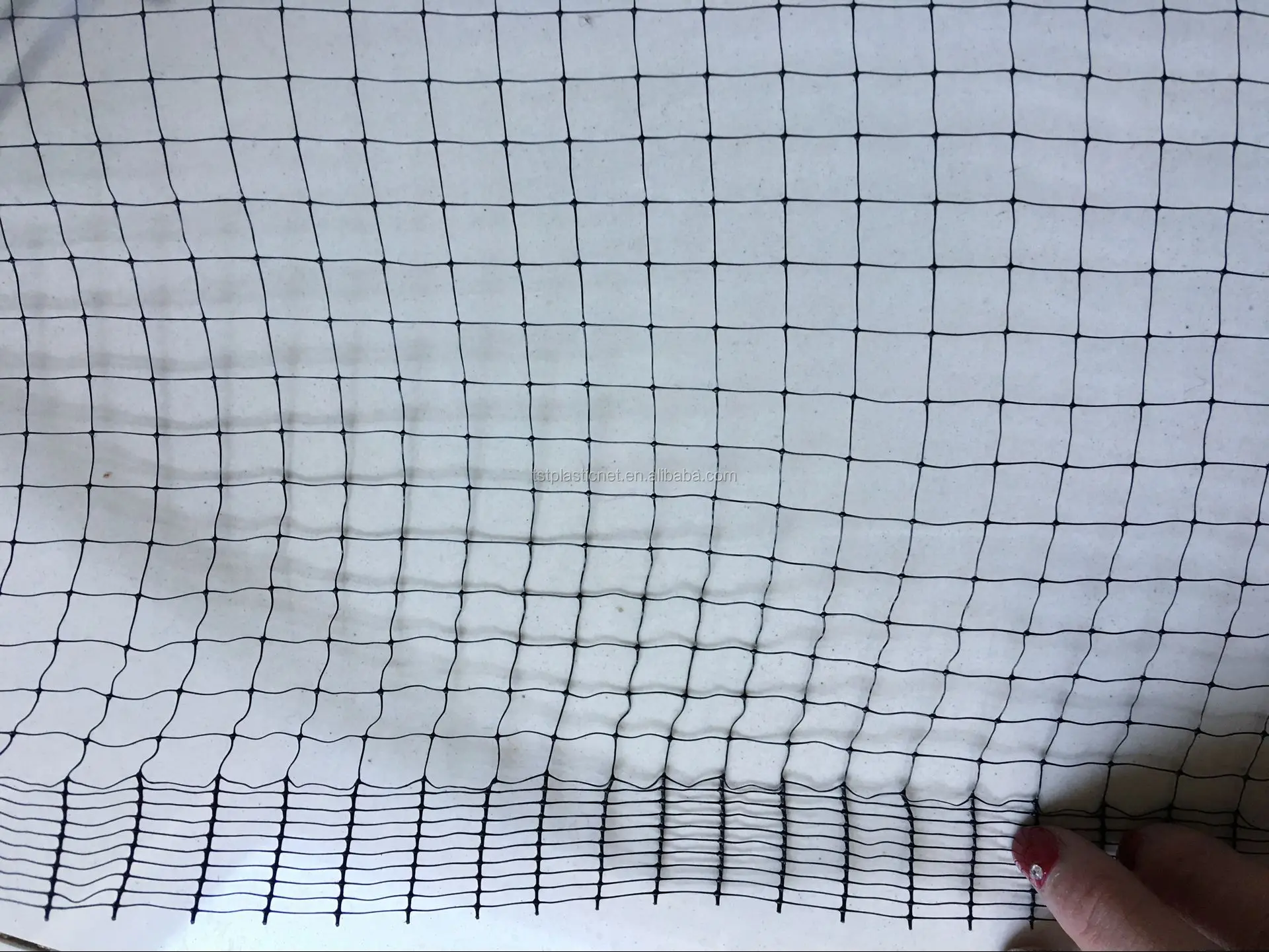 Cheap Price Agriculture Anti Bird Net and Bird Protection Net for Vineyard 100% New HDPE Wrap Knitted,extruded 7-10g/m2 Diamond