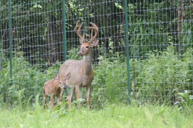 Animal metal fence cattle fence farm fence with post and gate made in  Anping factory