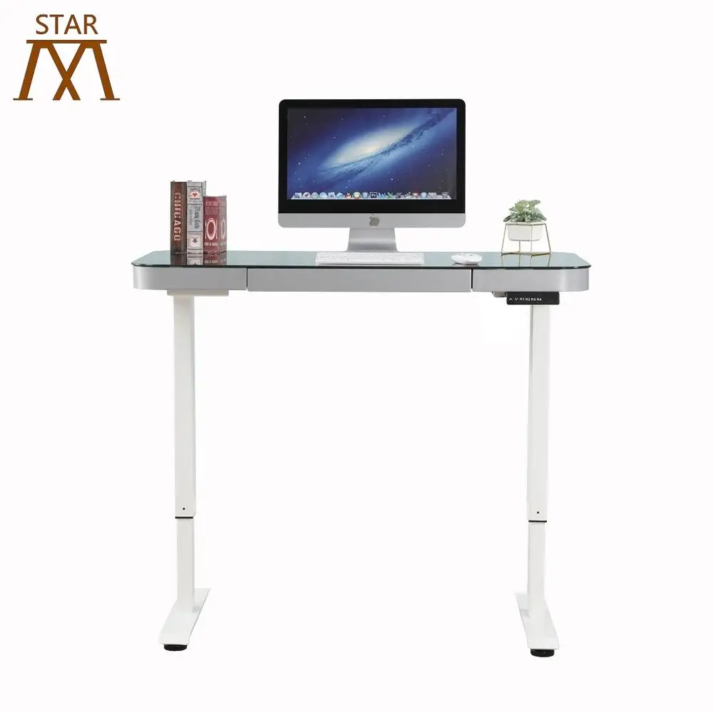 
Germany Dual Motors Intelligent Electric Height Adjustable Standing Desk Two Segments Lifting Column 
