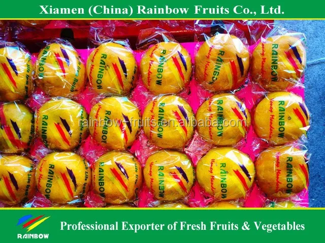 Chinese Fresh sweet Lokam Lokan Mandarin