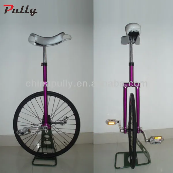 24 Inch Aluminum Alloy Self-balancing Unicycle
