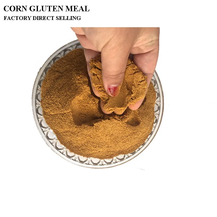 
Poultry Feeding Corn Gluten Meal 60% Protein Probiotics Bulk 