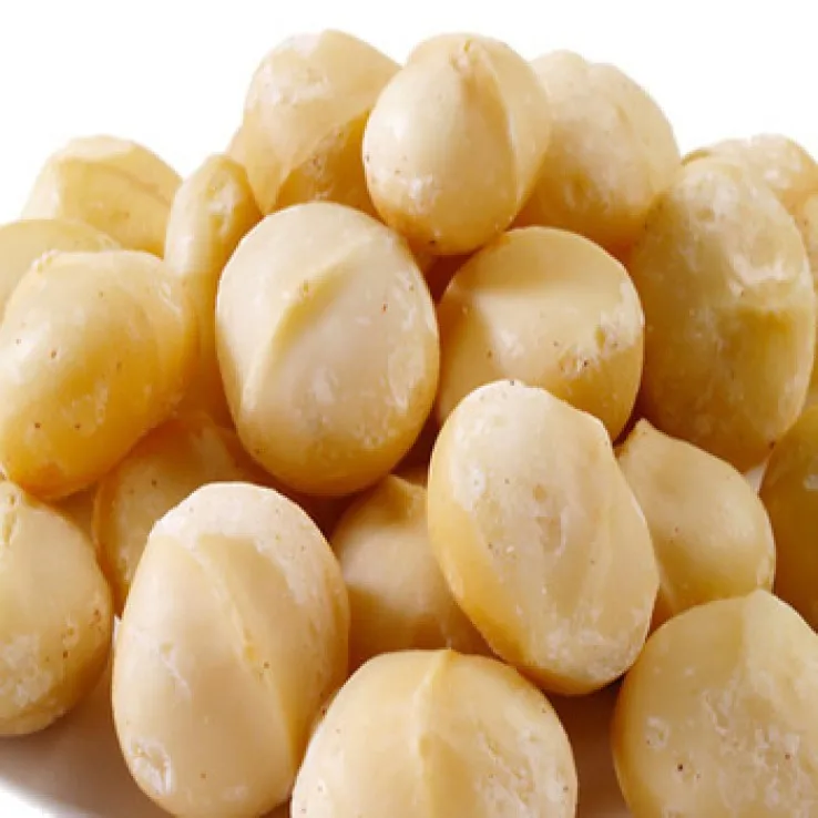  best-selling South Africa Rich nutrition Various size roasted macadamia nuts for sale