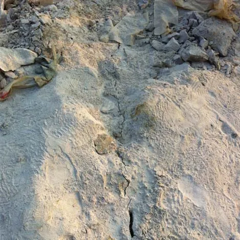 Best Selling for India Market Hsca Expansive Mortar