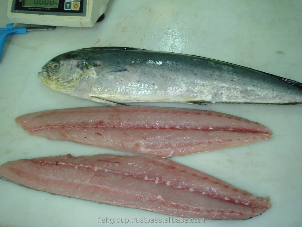 Frozen Fish Fresh Tilapia Supplier Block Bulk Style Packaging Package Weight Lbs Shelf Origin Latin Type Frozen Mahi Mahi Fillet