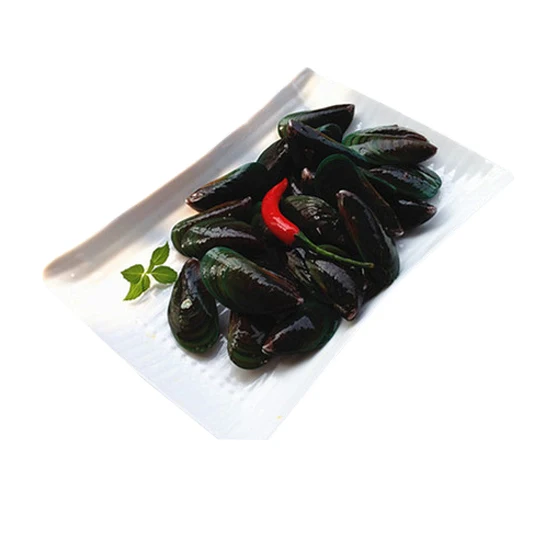 Замороженная целая ракушка синяя мишура для