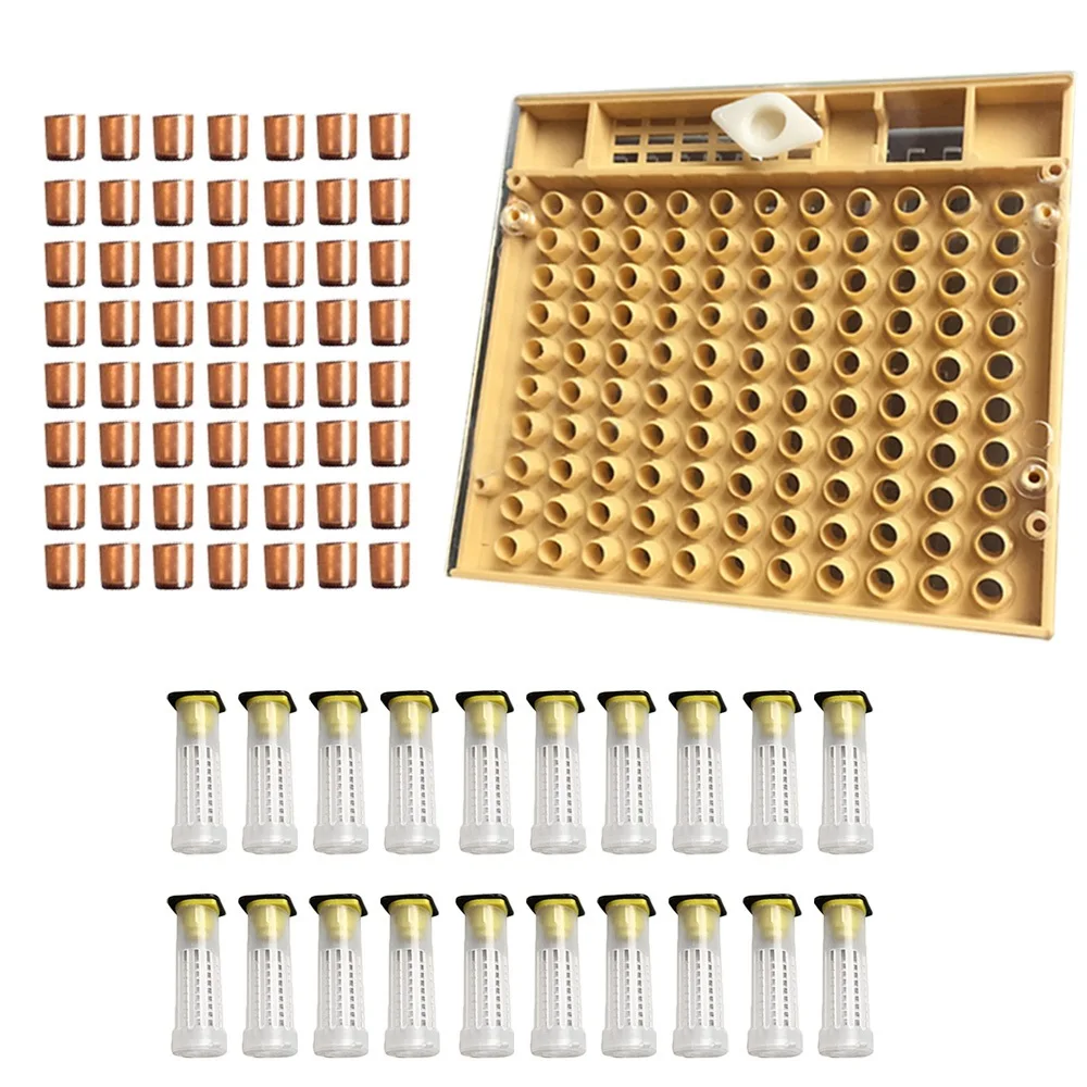 Queen Bee Rearing System For Beekeeping Plastic Cage Tools Apiculture Equipment
