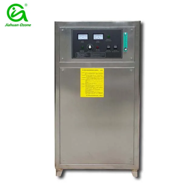 10g PSA oxygen generator ozone generator for koi pond water treatment