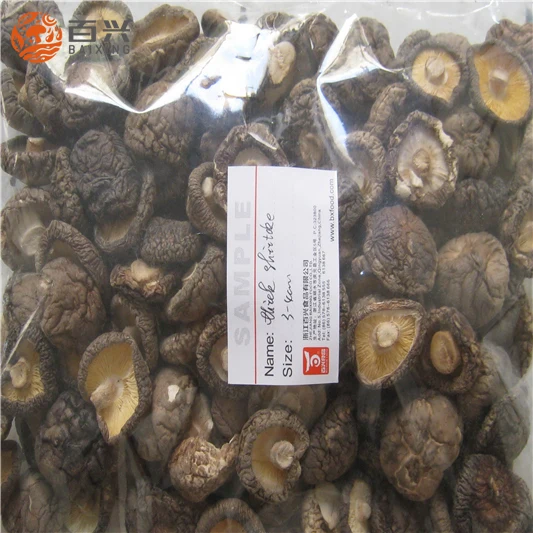 
Frozen Shiitake Mushroom Export Price 