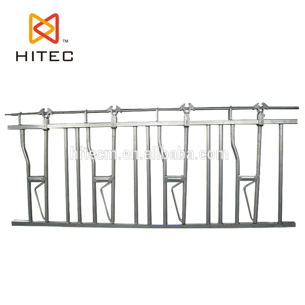 
 Оборудование для домашнего скота, горячеоцинкованные головки для коров и крупного рогатого скота  