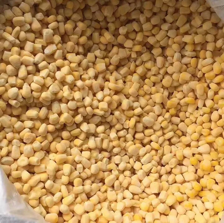 2018best price hot selling iqf frozen corn on cob