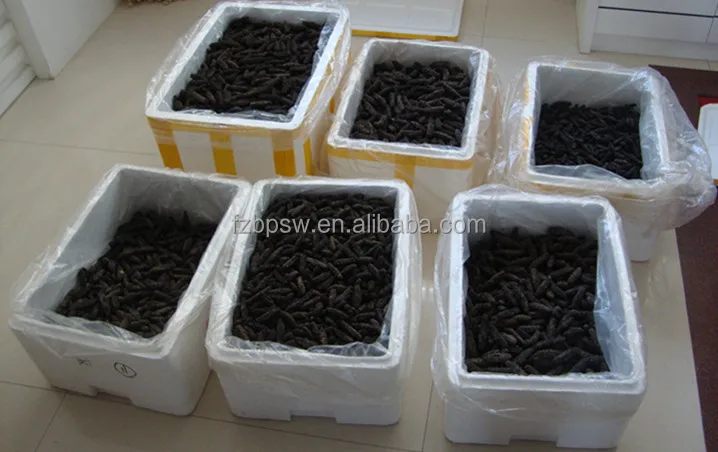 Highest Grade Dried Sea Cucumber,apostichopus japonicus In Fujian,China