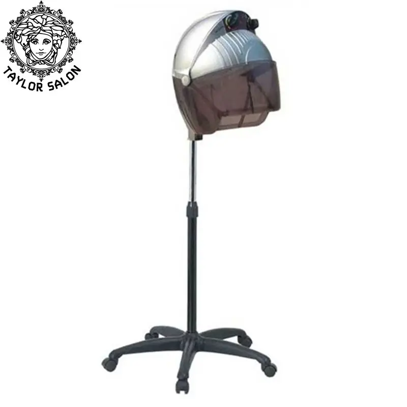 Portable hair steamer and hair dryer accelerator hair steamer for sale