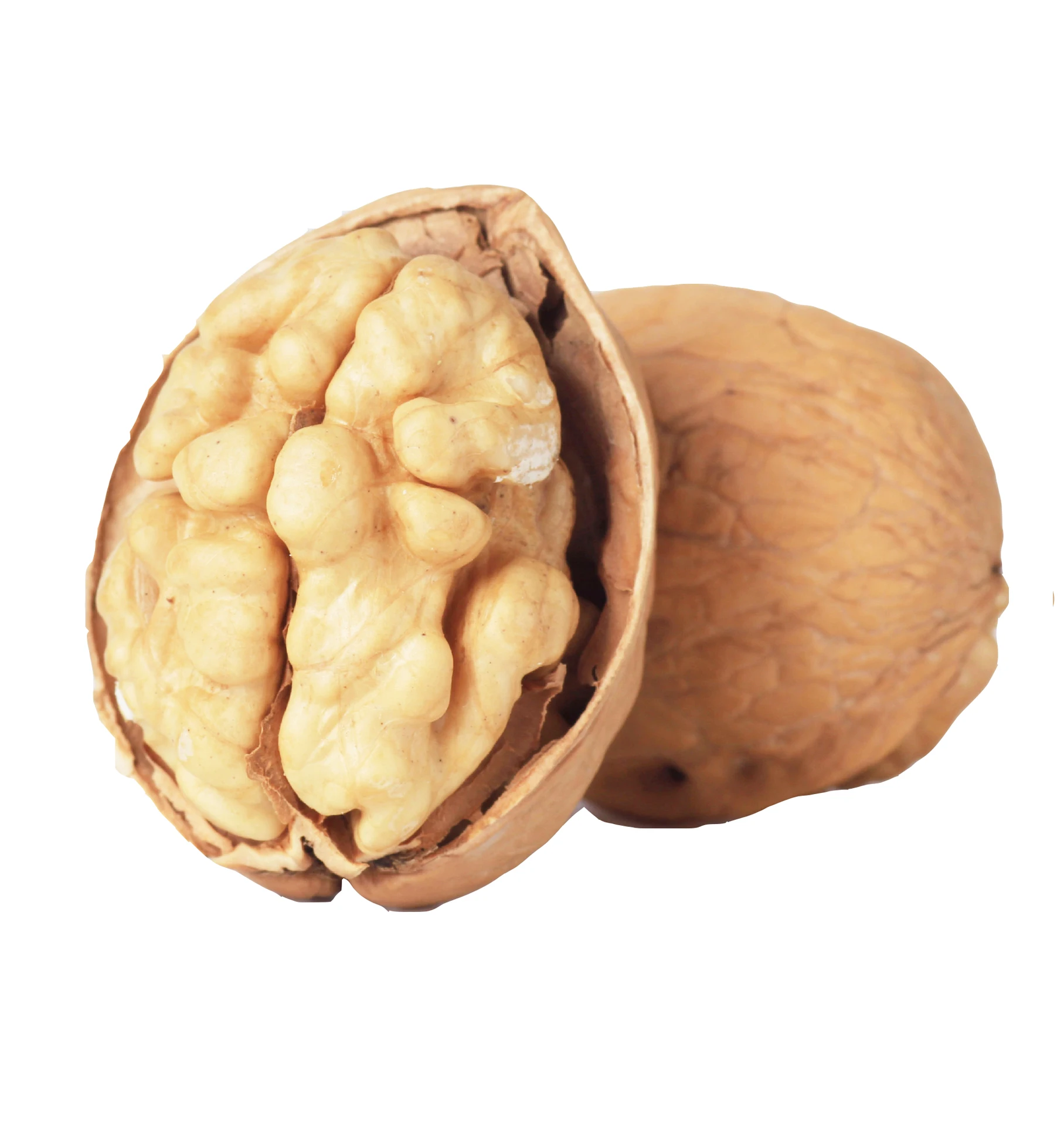 walnut kernel halves walnut shell halves walnuts in china